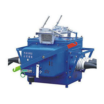 FZW28-12F户外高压真空负荷开关